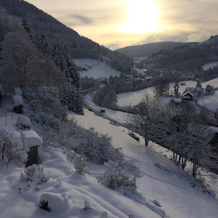 Altes Berghaus Apartment Obertal  Bagian luar foto
