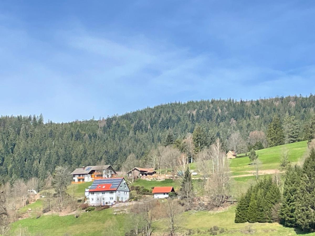 Altes Berghaus Apartment Obertal  Bagian luar foto