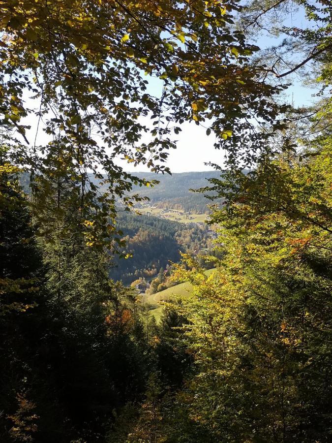 Altes Berghaus Apartment Obertal  Bagian luar foto
